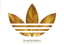 adidas  ул Эрму 50  Всемирная компания adidas.Имеется любая одежда любого цвета и для любого возраста.Более конкретно вы можете подобрать себе необходимую вами вещь на саите