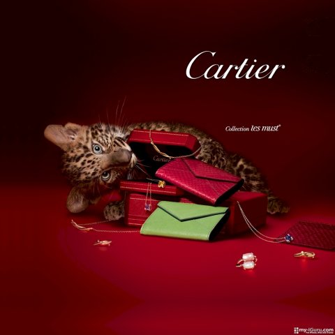 CARTIER  ул. Вукурестиу